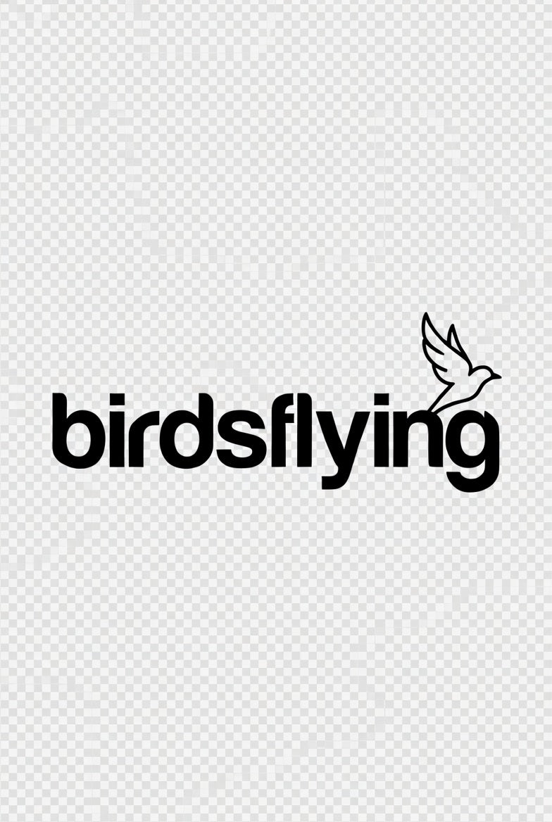 BIRDS FLYING